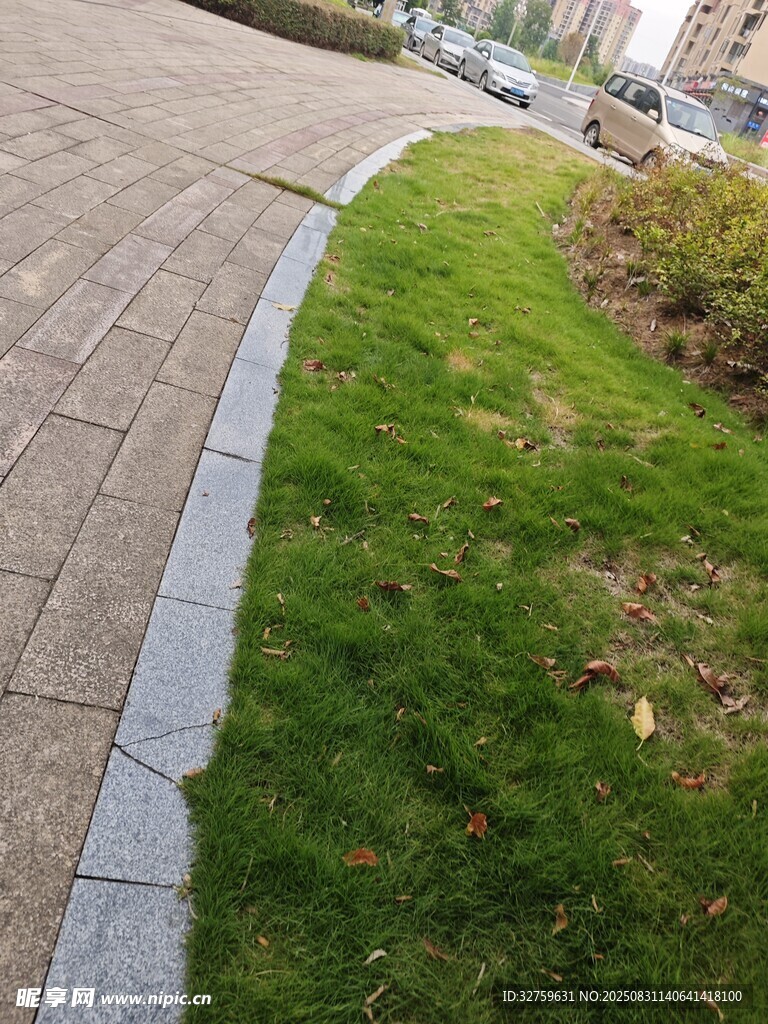 路边草坪与砖石步道景观