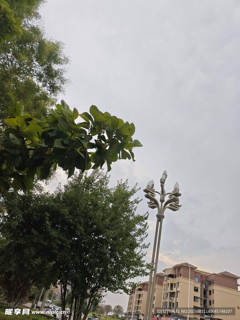 城市中高耸的独特造型电杆