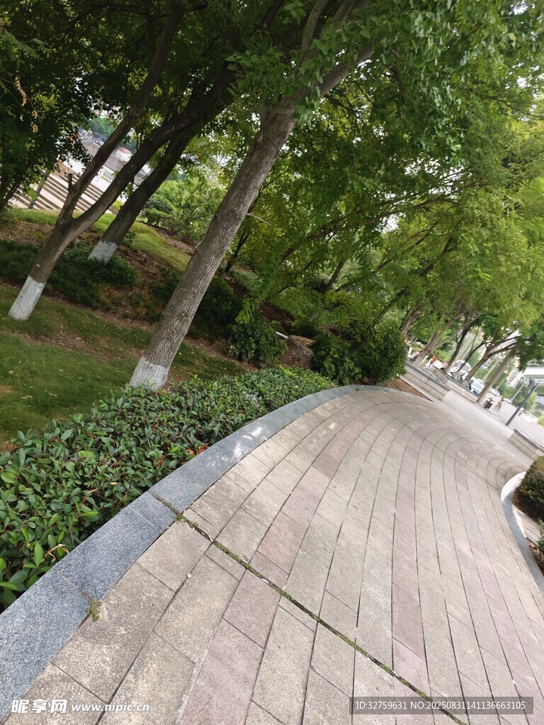 林间石板小径