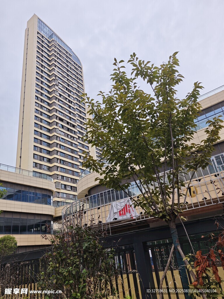 城市中高耸的现代建筑