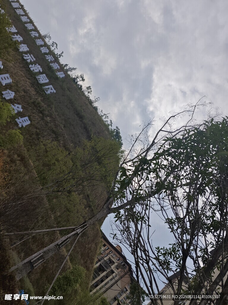 山间树木与建筑景观