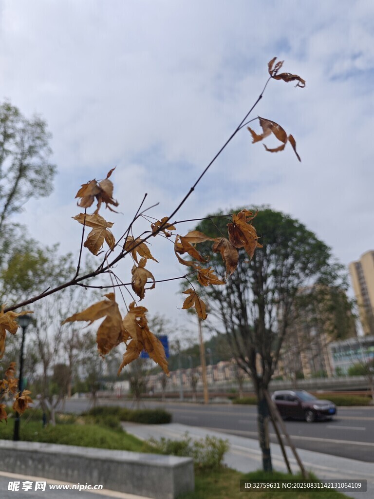 风中舞动的金属飞鸟雕塑