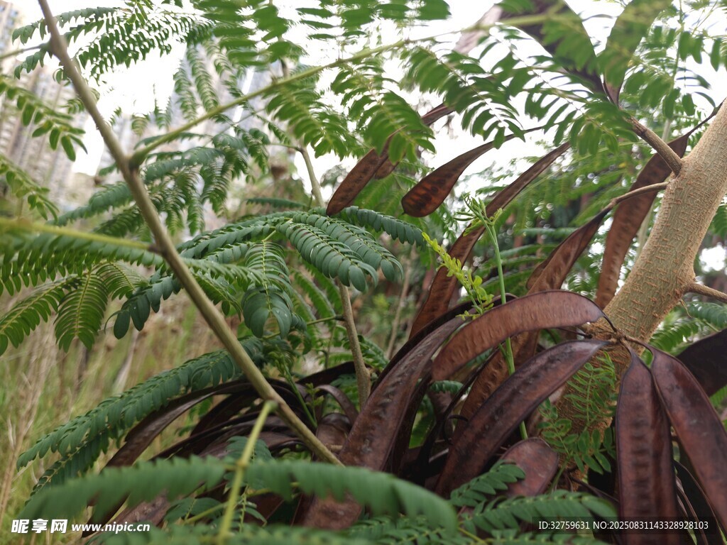 室内绿植景观