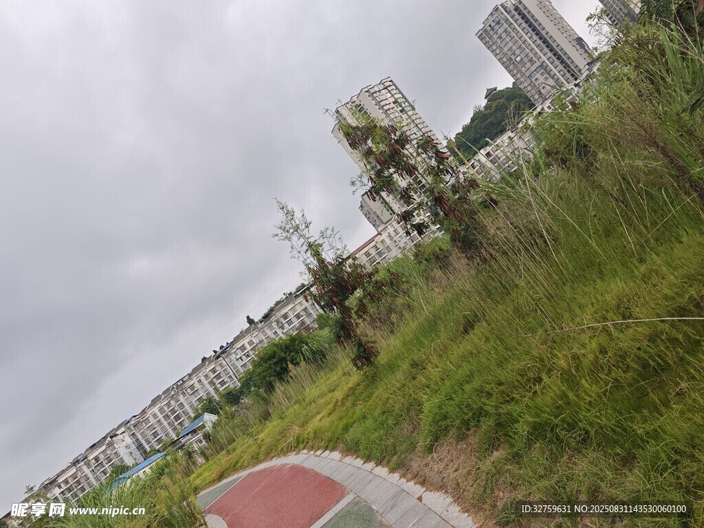 城市边缘的绿植与道路