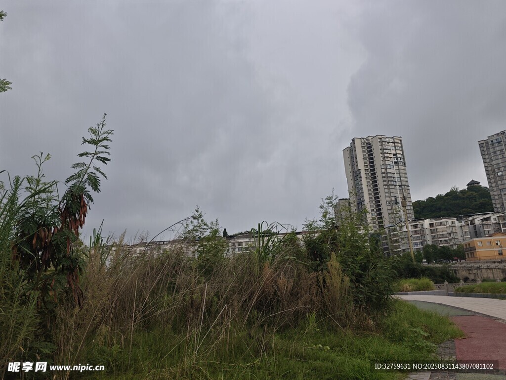 阴天城市边缘的草地与建筑