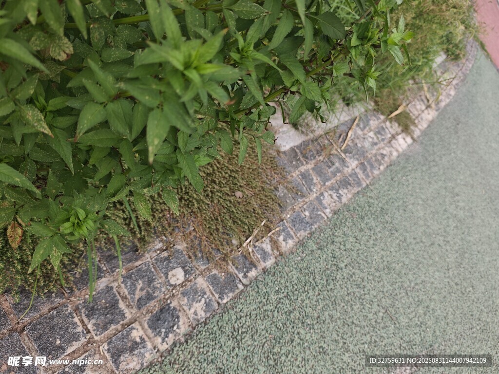 路边绿植与砖石景观