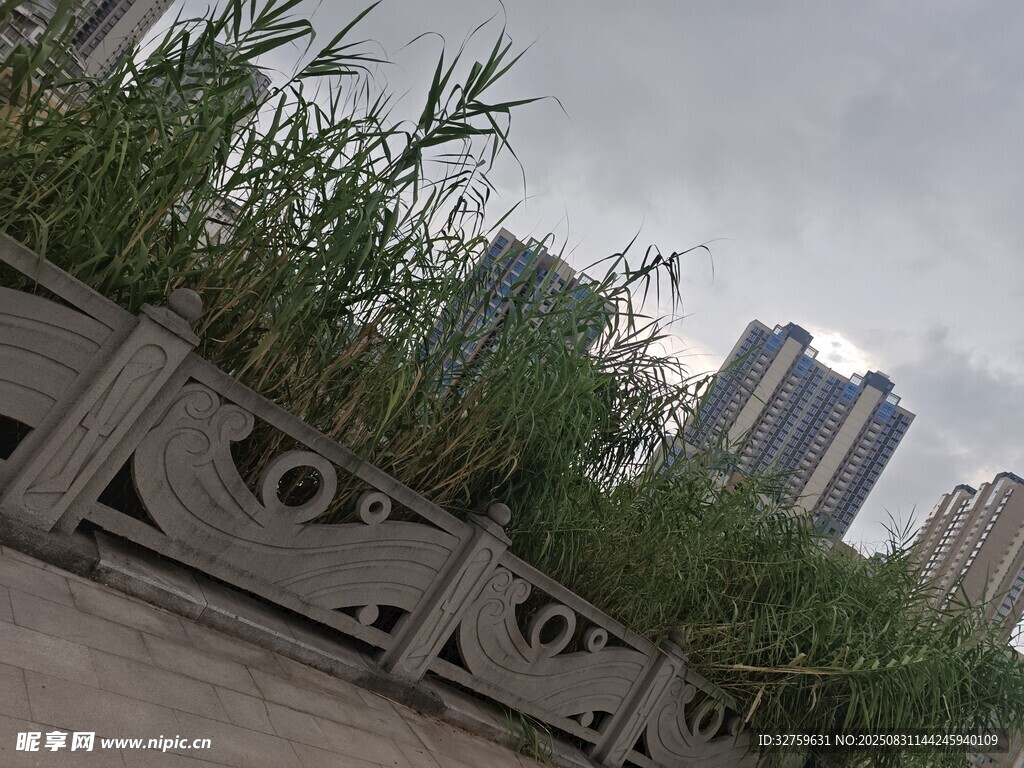 城市中带绿植的中式围栏