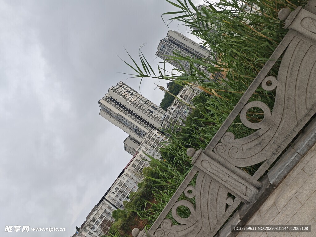 城市景观中的绿植与建筑