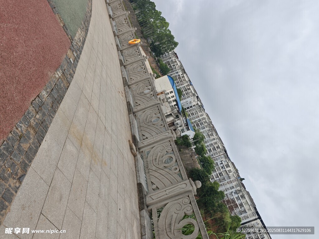 城市街道旁的绿植景观