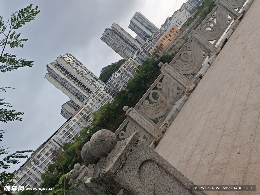 城市景观中的建筑与绿植