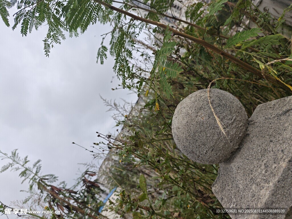 石球旁的绿植与朦胧天空