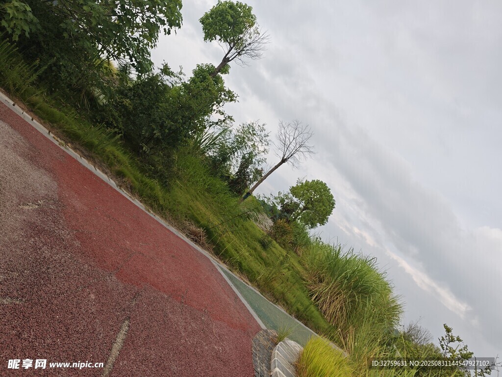 户外红色跑道旁的绿植景观