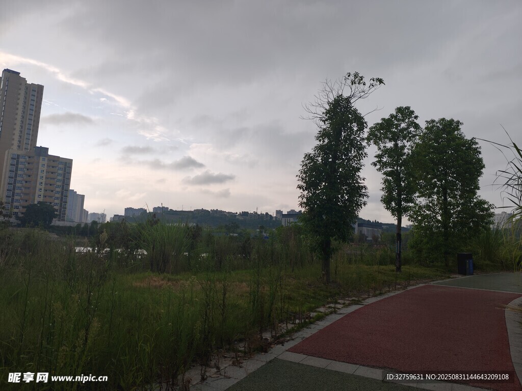 城市中宁静的户外绿地景观