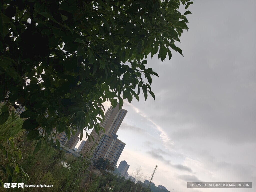 绿树掩映下的高楼远景