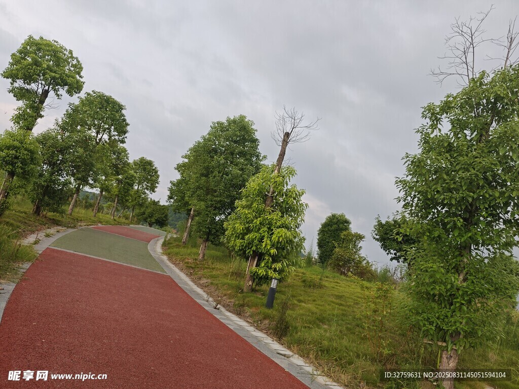 林间红道 