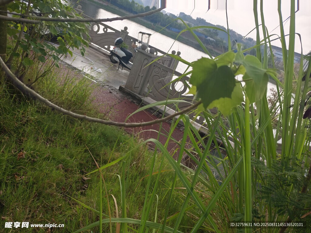 河边绿植环绕的户外场景