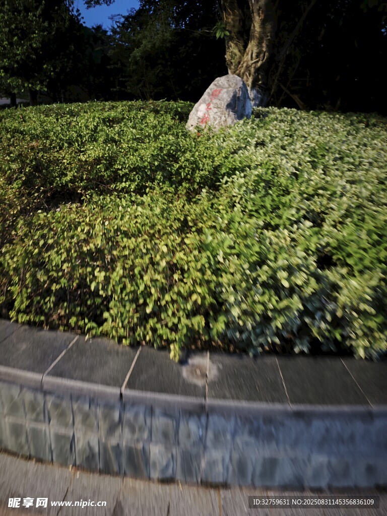 绿植环绕的石景景观