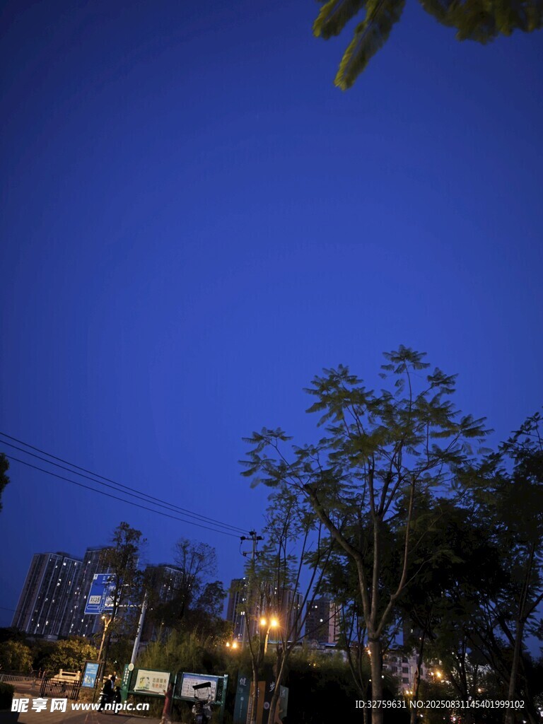 夜幕下的城市街道与树木