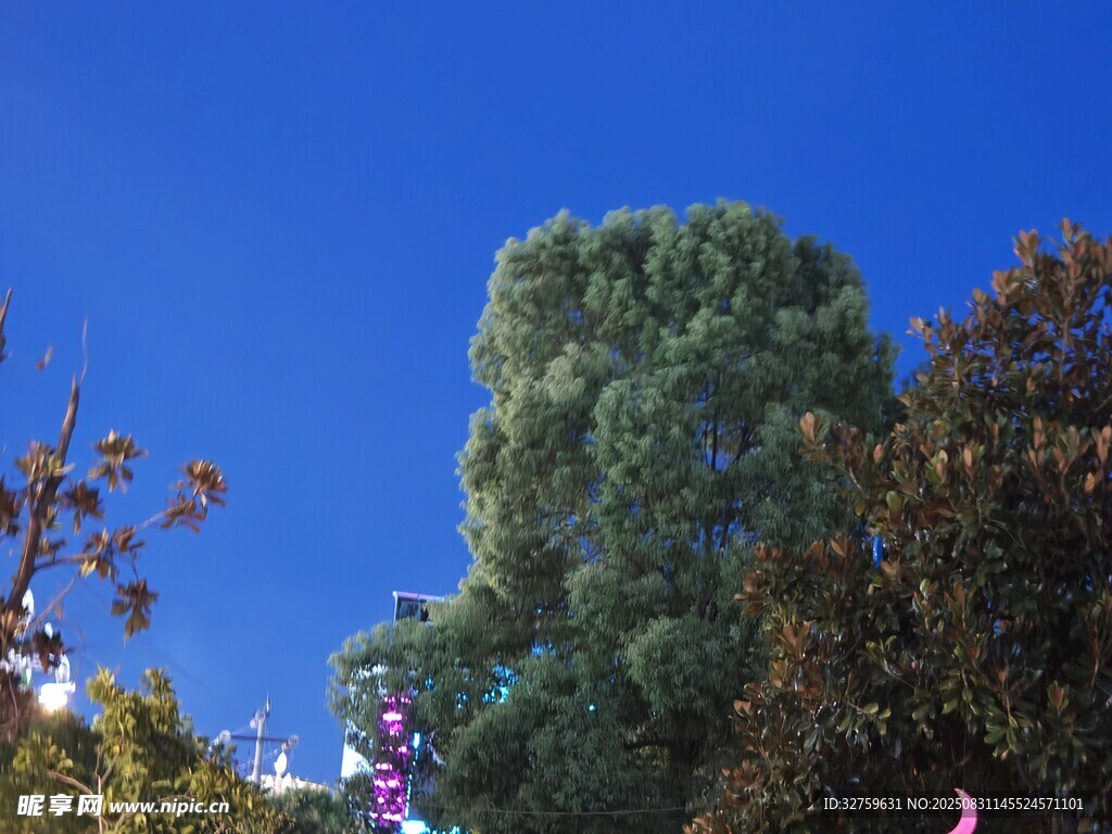 蓝天绿树景观