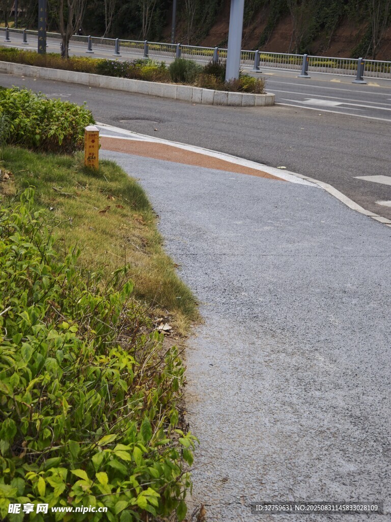 路边绿植与灰色步道景观