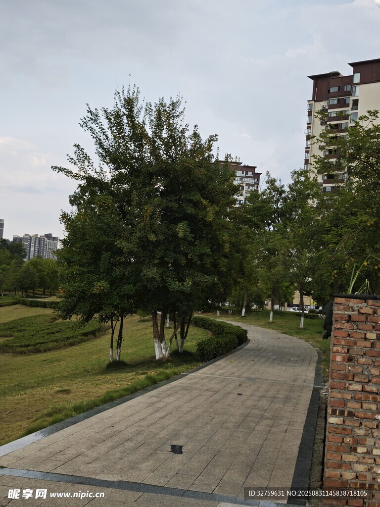 城市公园中的宁静步道