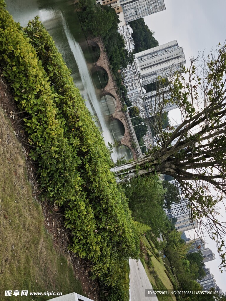 城市绿植景观一角