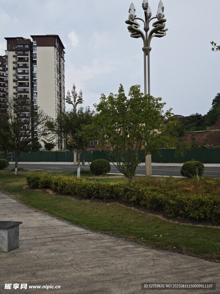 城市公园中的宁静步道