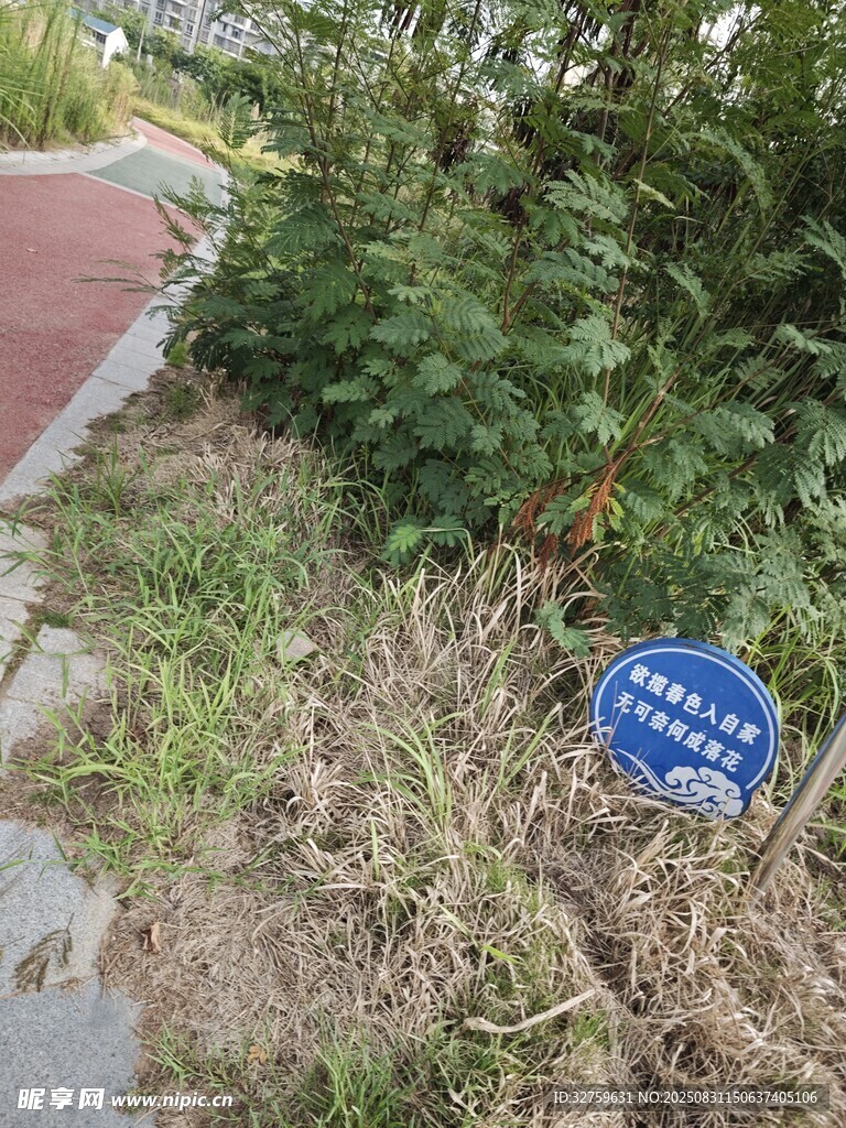 路边蓝色提示牌近景