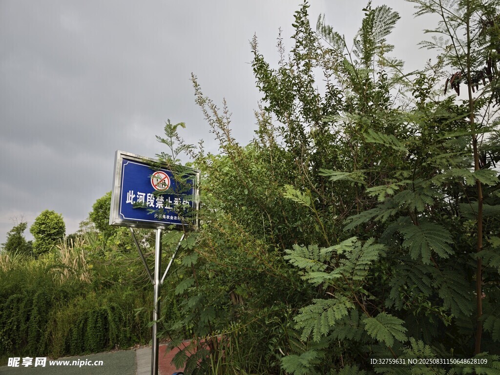 宝马标志立于绿植间