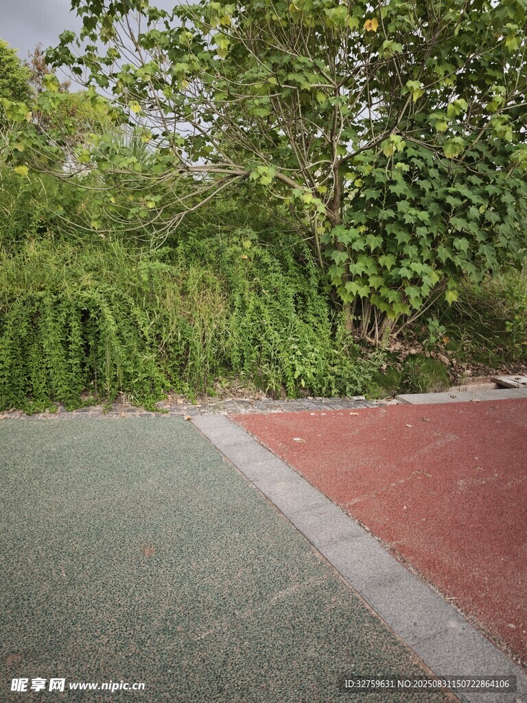 户外红绿相间的道路场景