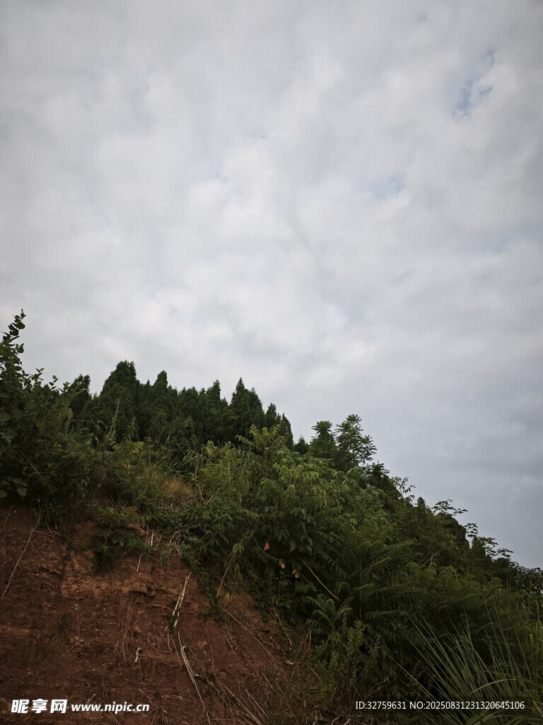 山坡绿植与阴沉天空