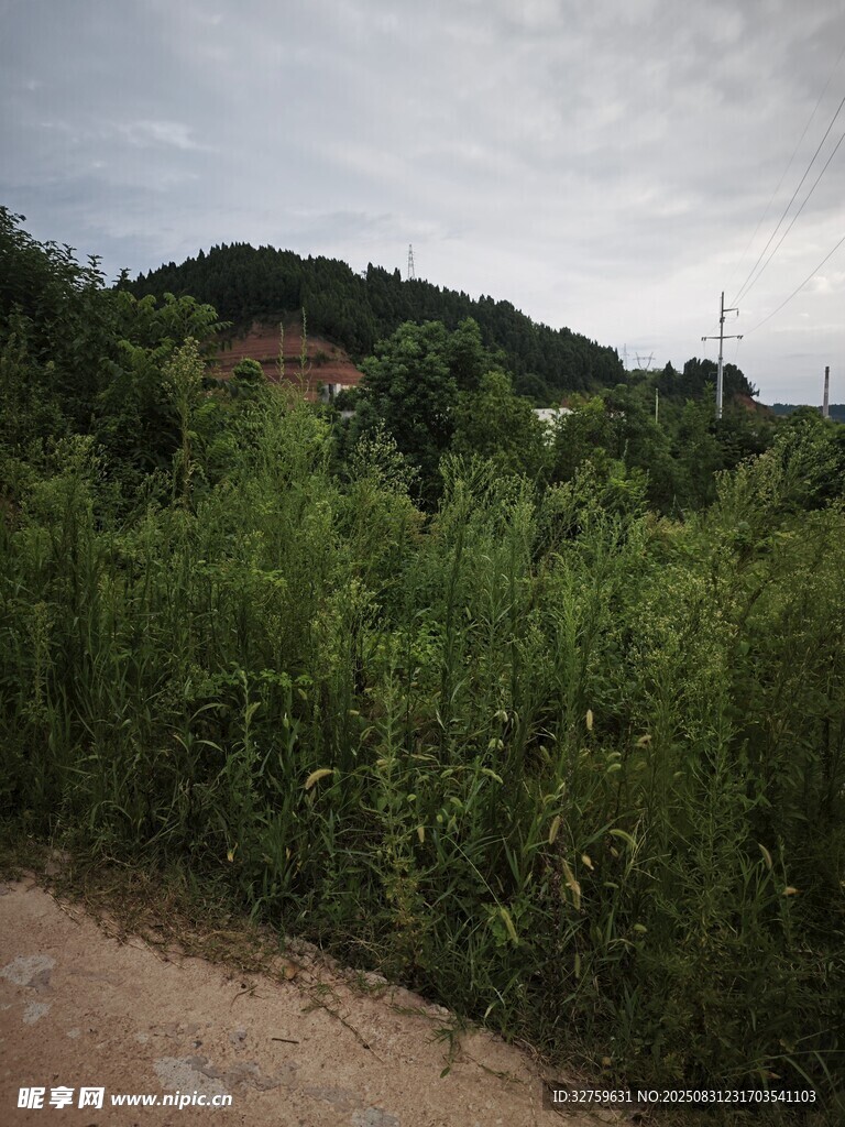 山间绿植旁的土路