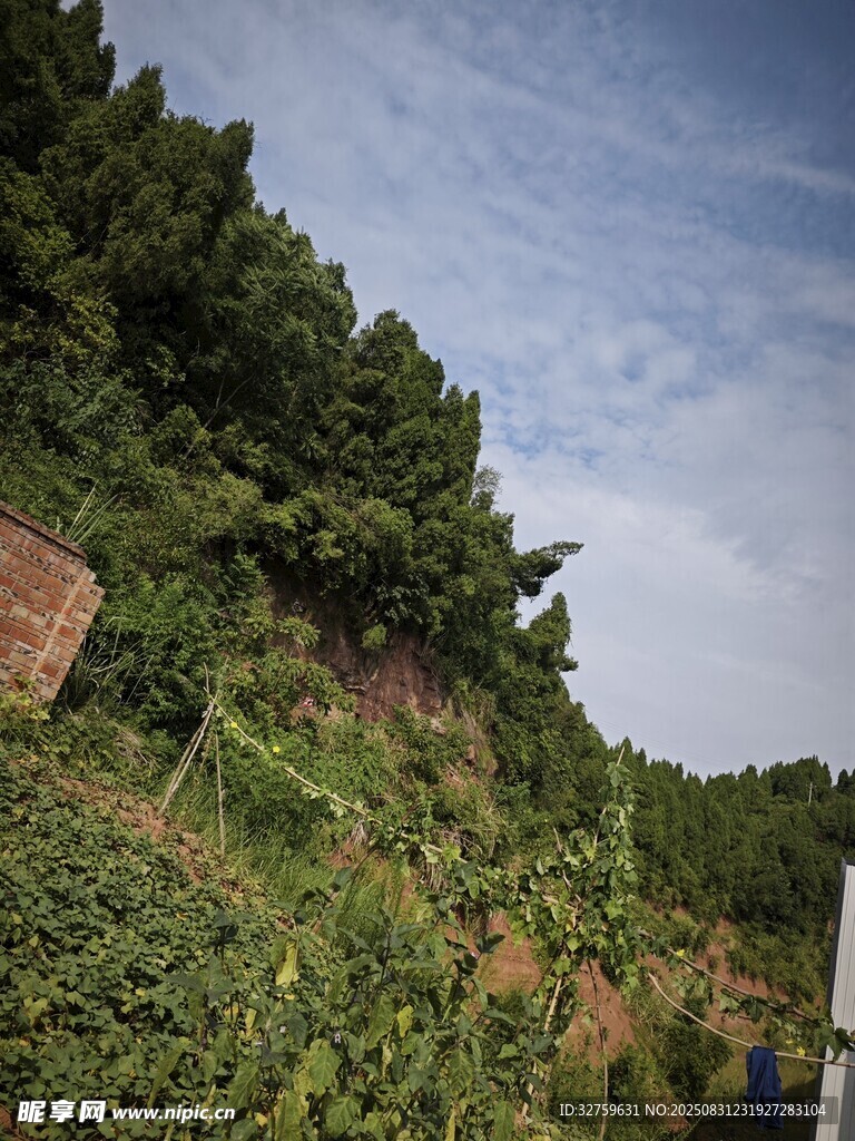 山坡绿植繁茂景色宜人
