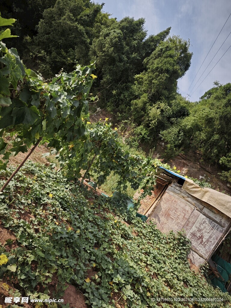 繁茂绿植环绕的隐秘角落