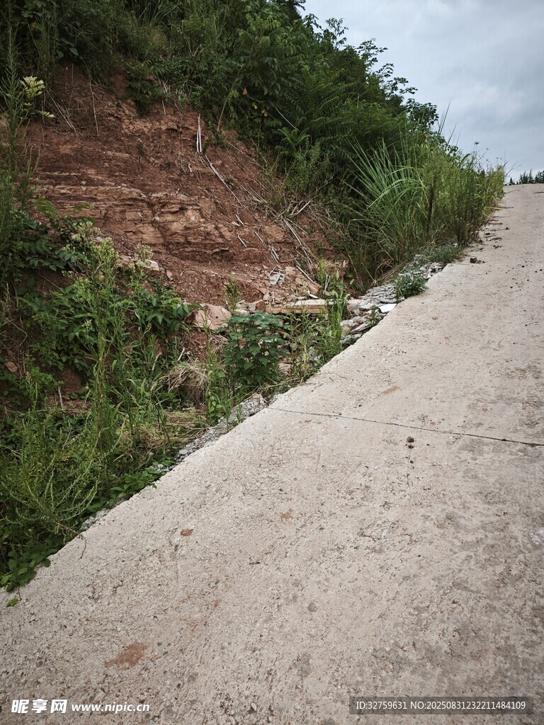 乡村土路旁的自然坡地