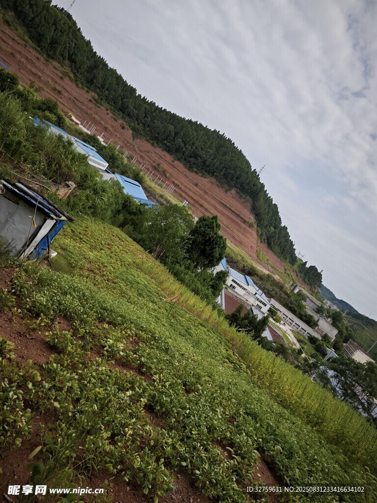 山坡上的村落与绿植景观