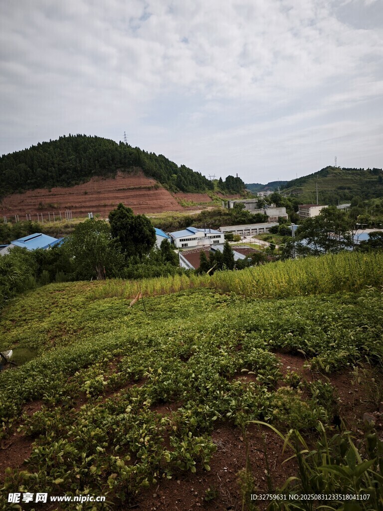 乡村田园风光景色