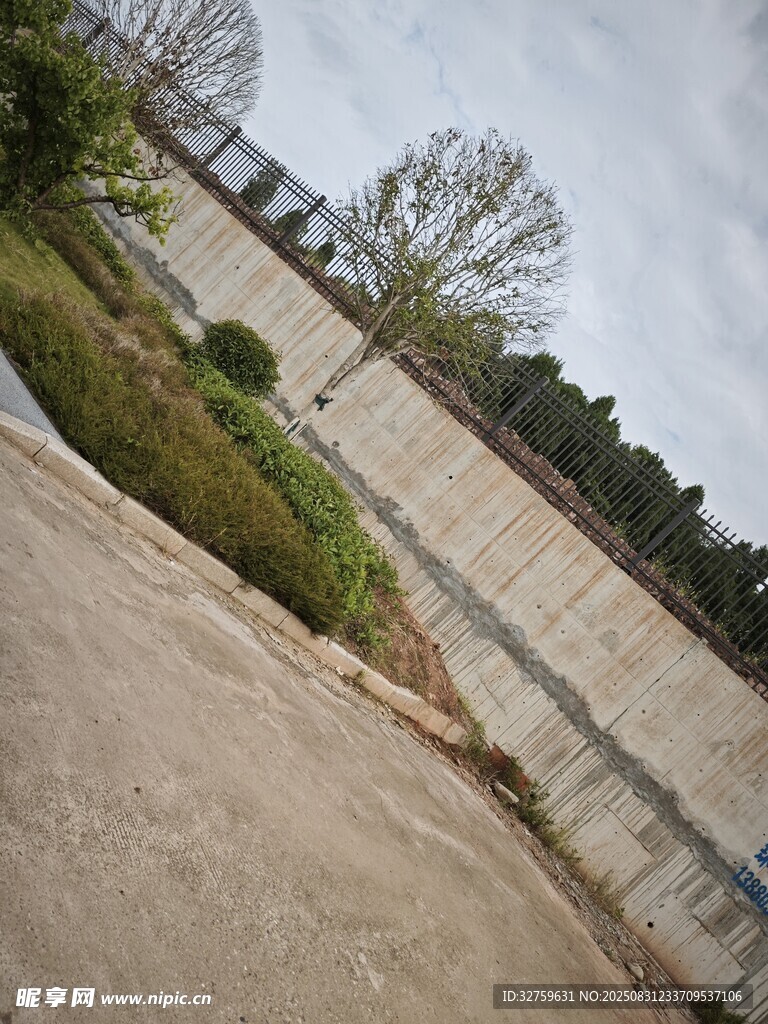 户外水泥地旁绿植景观