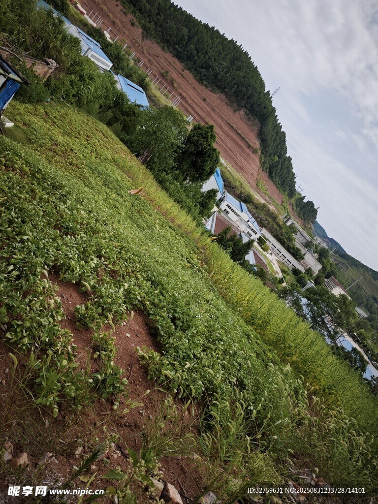 山坡下的村落与繁茂草地