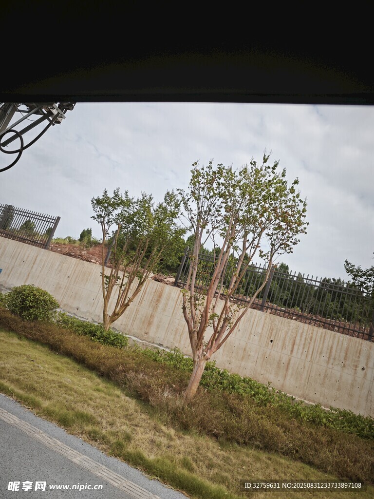 车窗外的路边树木与围墙