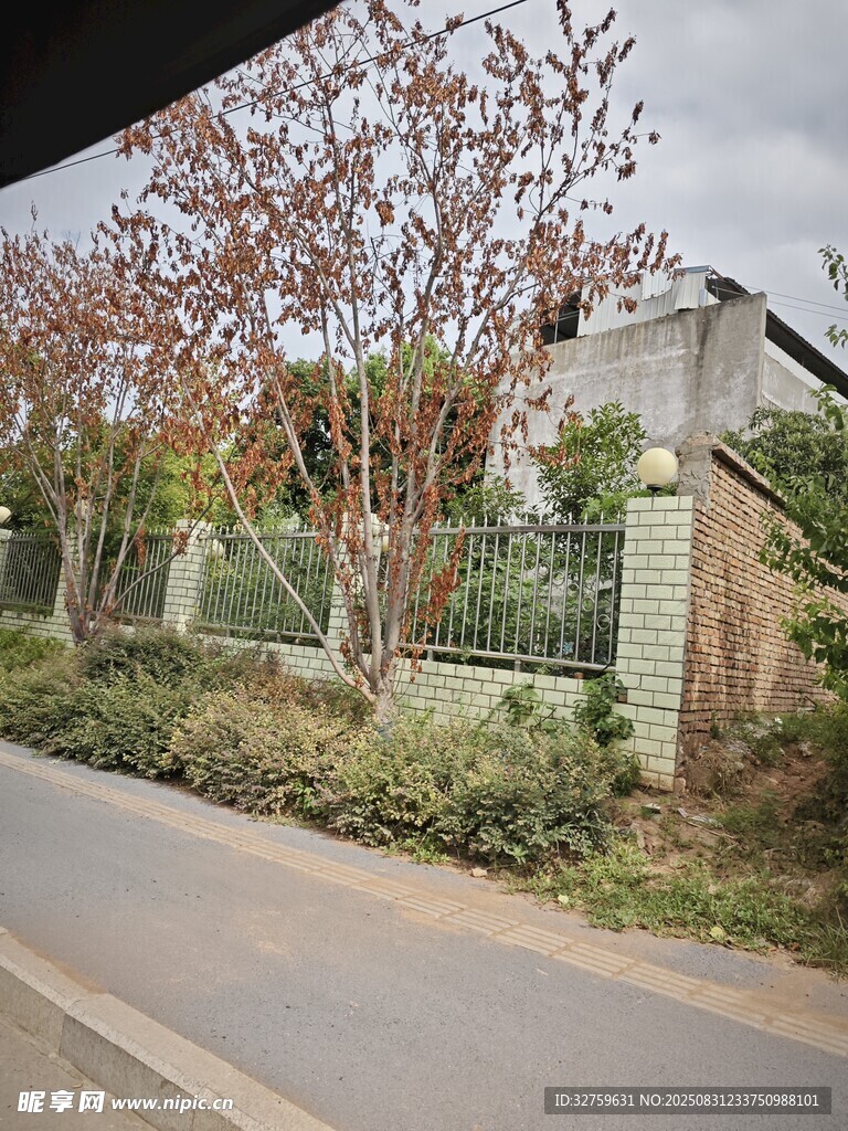 路边秋色中的房屋与树木
