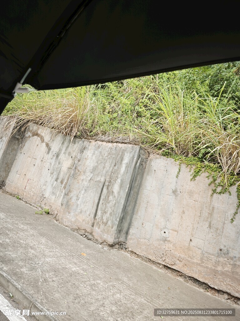 路边水泥墙与绿植景观