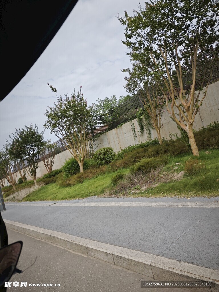 车窗外的道路与绿植景观