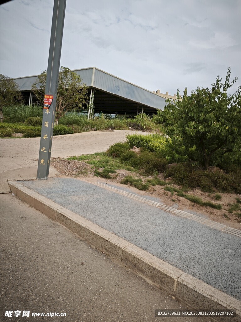 户外街道旁的绿植与建筑