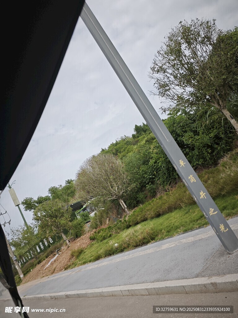 车窗外的道路与绿植景观