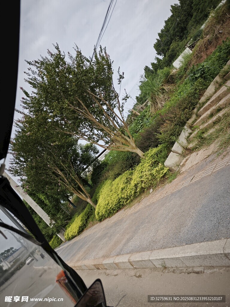 车窗外的绿意风景
