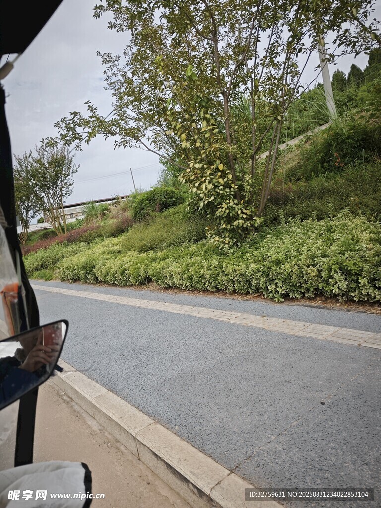 车窗外的公路与绿意