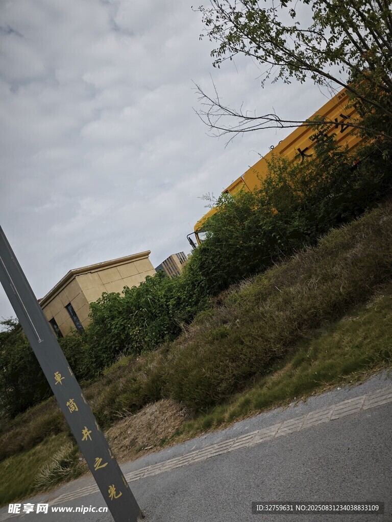乡村路旁景象