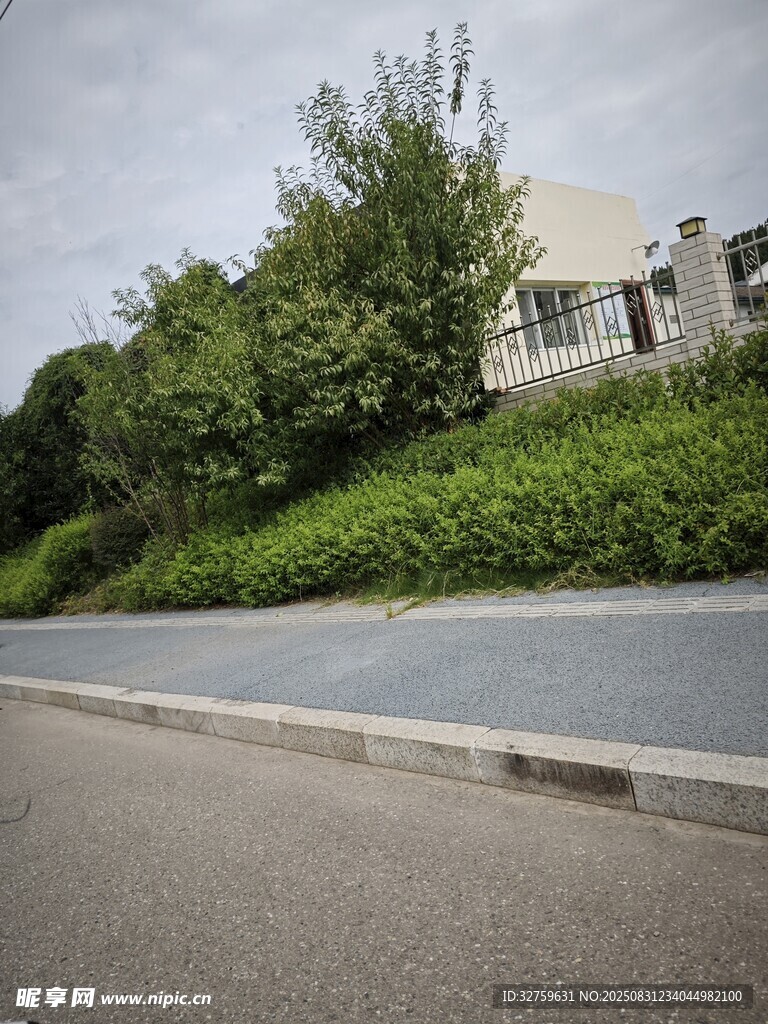 路边绿植与远处建筑景观