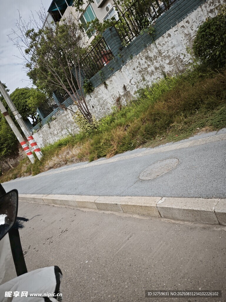 户外道路旁的景象